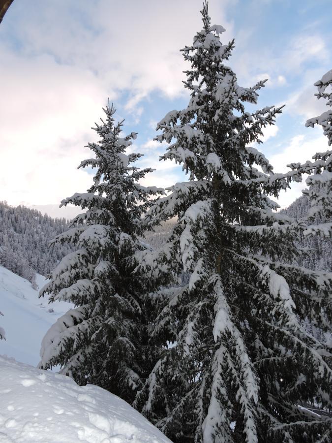 Haus Bergkristall Samnaun Dış mekan fotoğraf